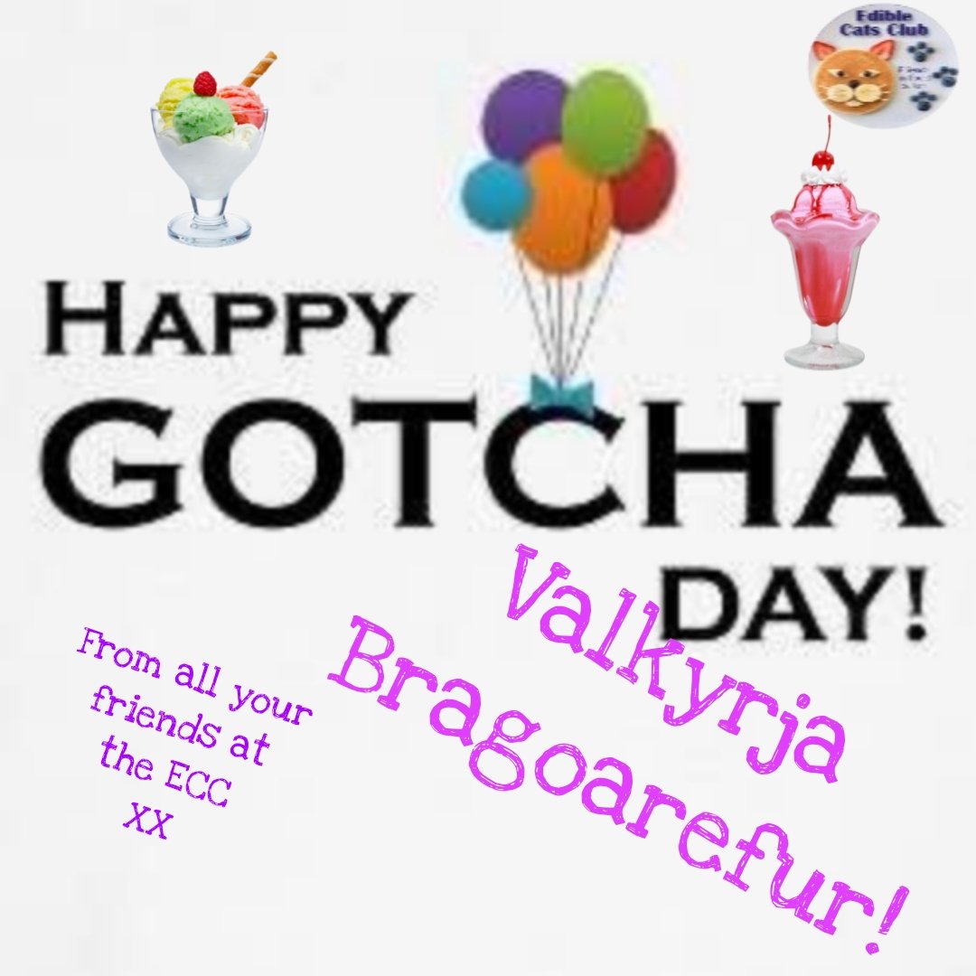 Postman Pappy’& Postman Panfur’s ECC Cards (@eccpostmanpappy) on Twitter photo HAPPY GOTCHA DAY TO VALKYRIA BRAGOAREFUR! Sending much love to you! 😽😽😽❤️❤️ <a href="/MewsForCats/">The Daily Mews From Iceland</a> <a href="/EdibleCatsClub/">EdibleCatsClub</a> HAPPY GOTCHA DAY TO VALKYRIA BRAGOAREFUR! Sending much love to you! 😽😽😽❤️❤️ <a href="/MewsForCats/">The Daily Mews From Iceland</a> <a href="/EdibleCatsClub/">EdibleCatsClub</a>