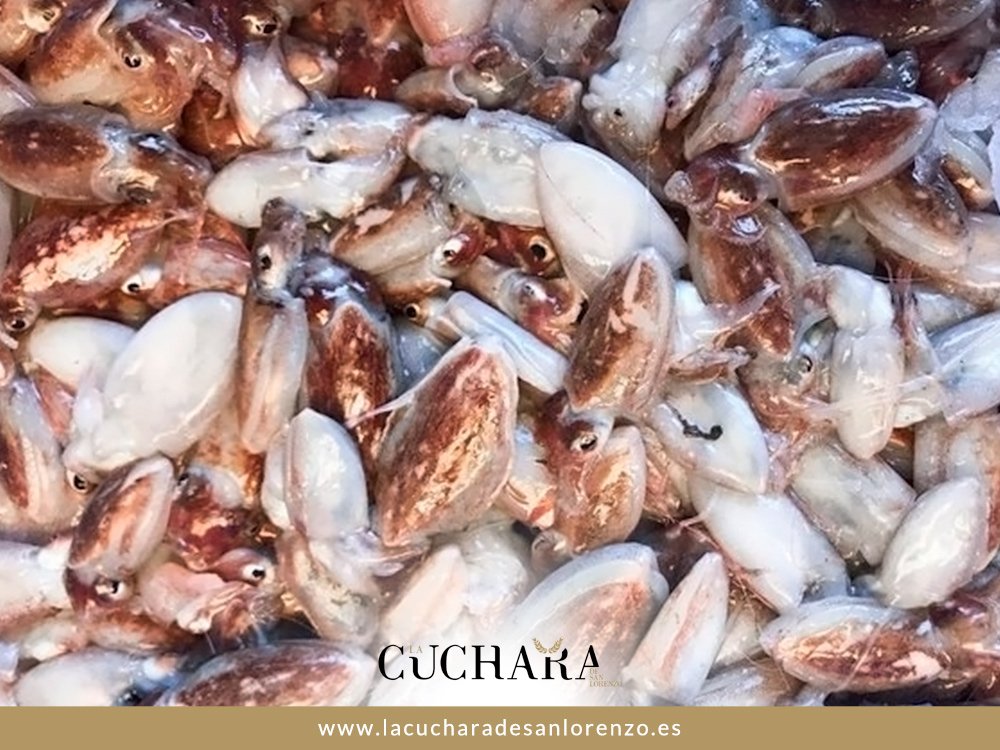 🟢 Sugerencia de la semana: Castañita, almendrita o chopitos a la plancha con nuestro toque personal. Un bocado por explorar que sorprenderá tu paladar. 🌿👨‍🍳

☎️ Llámanos al 𝟗𝟓𝟕 𝟒𝟕𝟕 𝟖𝟓𝟎 y que no te lo cuenten.

📍 C/ Arroyo de San Lorenzo, 2. Córdoba. España.