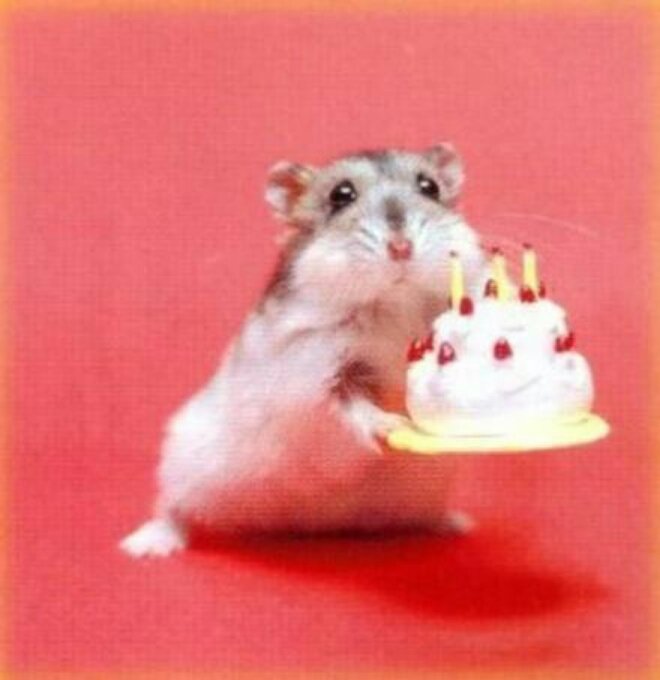 lodex69's tweet image. Feliz cumpleaños hermosa @Gomurya