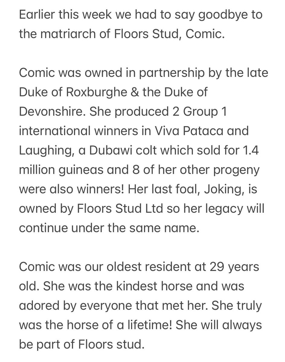 Gillonbldstk's tweet photo. Earlier this week we had to say goodbye to the matriarch of Floors Stud, Comic. https://t.co/9zt9vKXnit