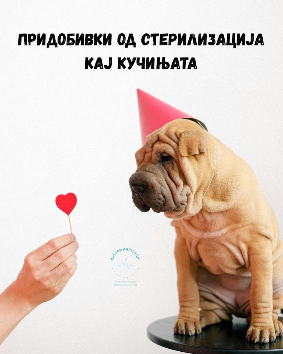 Се мислиш? Ѕирни на инстаграм 
👉 instagram.com/p/DMhqJ6yoPNA/…
Прочитај повеќе на veterinarnica.mk