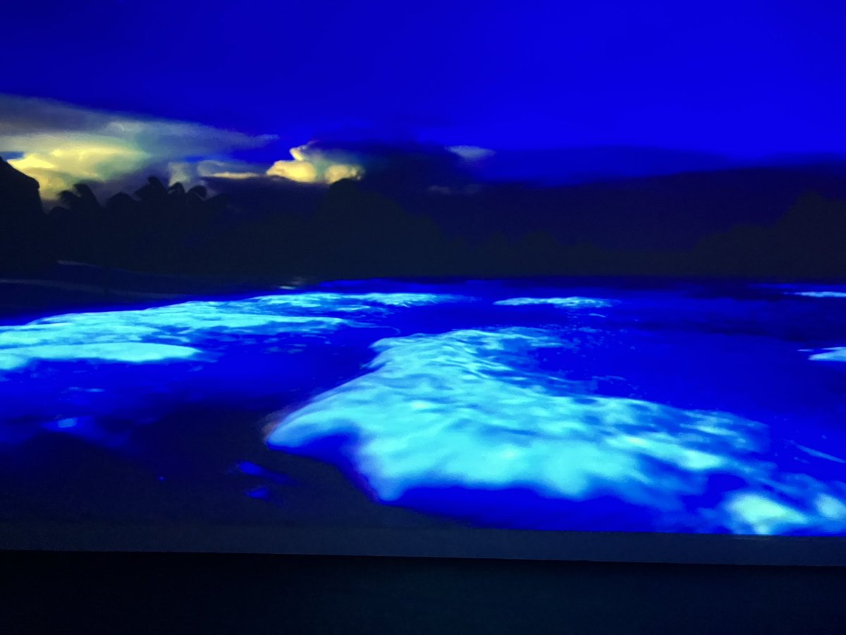 Sheila Vanloo 💙 tweet media