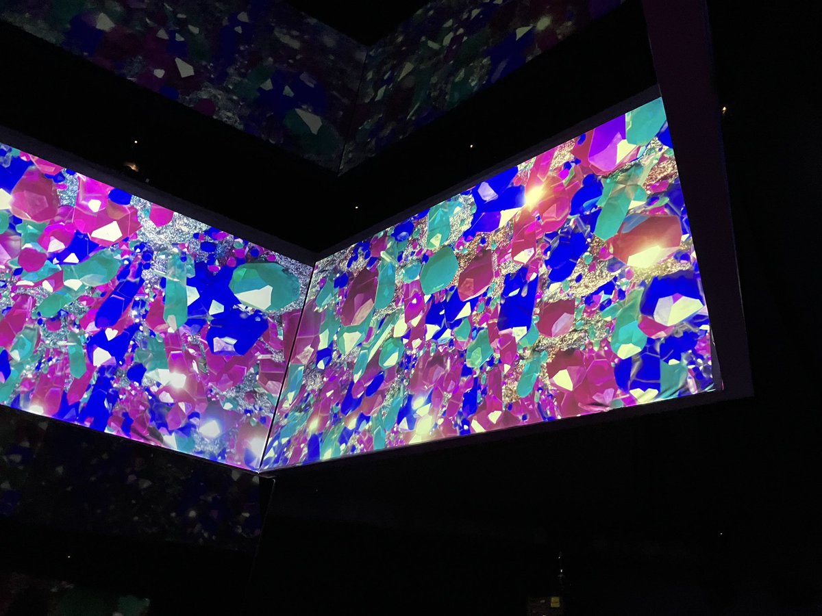 Sheila Vanloo 💙 tweet media