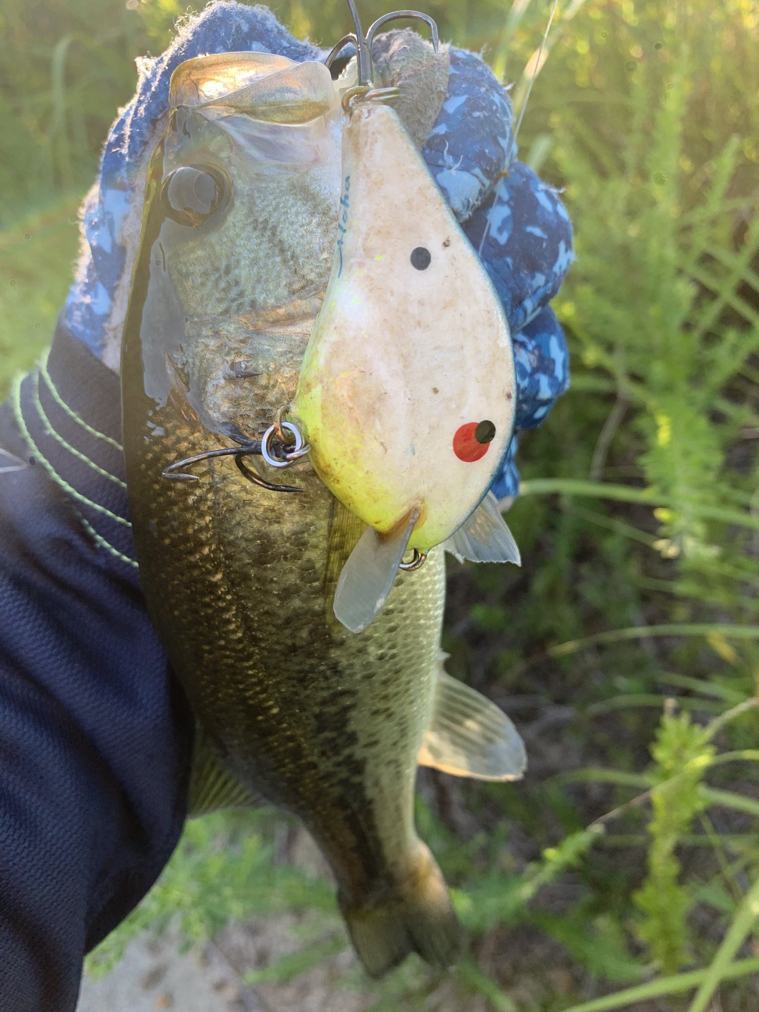 Nishine Lure Works (@Beatour27) / X