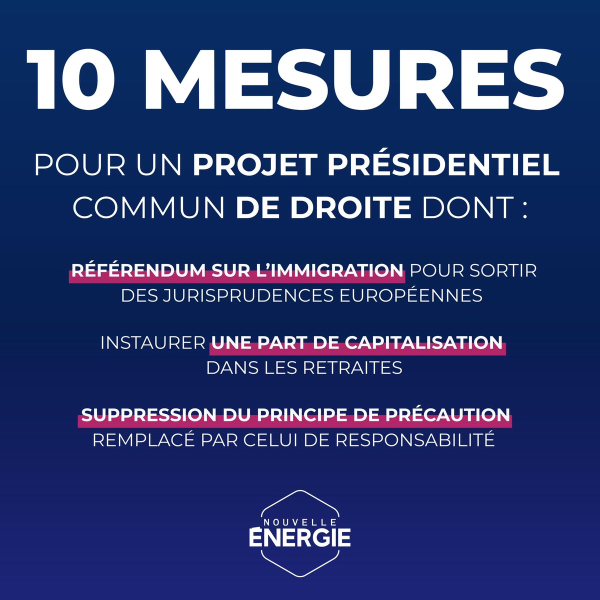 Nouvelle Énergie (@nouv_energie) on Twitter photo 📢 <a href="/davidlisnard/">David Lisnard</a> appelle la droite à se rassembler autour de dix mesures essentielles pour le sursaut du pays. Nouvelle Énergie en défend trois premières ⤵️ 📢 <a href="/davidlisnard/">David Lisnard</a> appelle la droite à se rassembler autour de dix mesures essentielles pour le sursaut du pays. Nouvelle Énergie en défend trois premières ⤵️