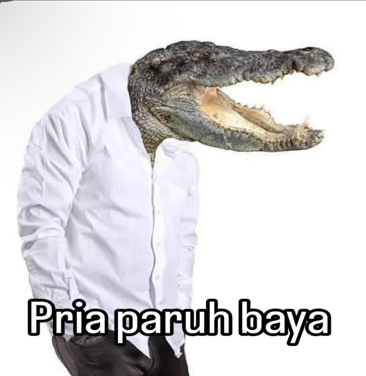MemeComicIndo's tweet image. banyak di kota2 besar