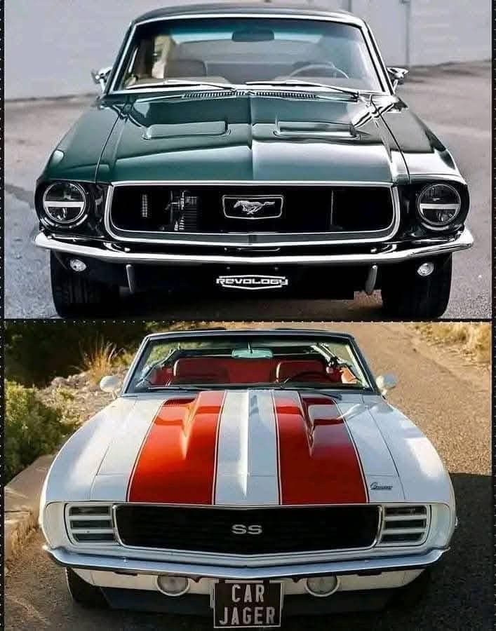 Top or bottom?