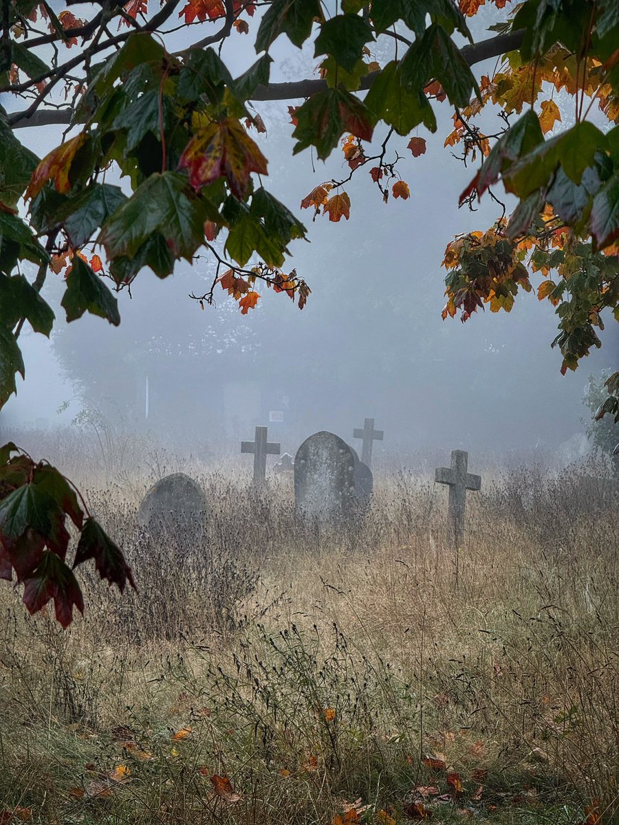 InDamnatio's tweet image. A mood from last autumn 🍂
Southampton, St Mary’s Extra Cemetery