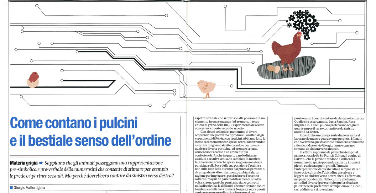 gVallortigara's tweet image. Chi volesse leggere l'articolo completo adesso lo può trova qua
👇👇👇
r.unitn.it/en/cimec/abc/p…