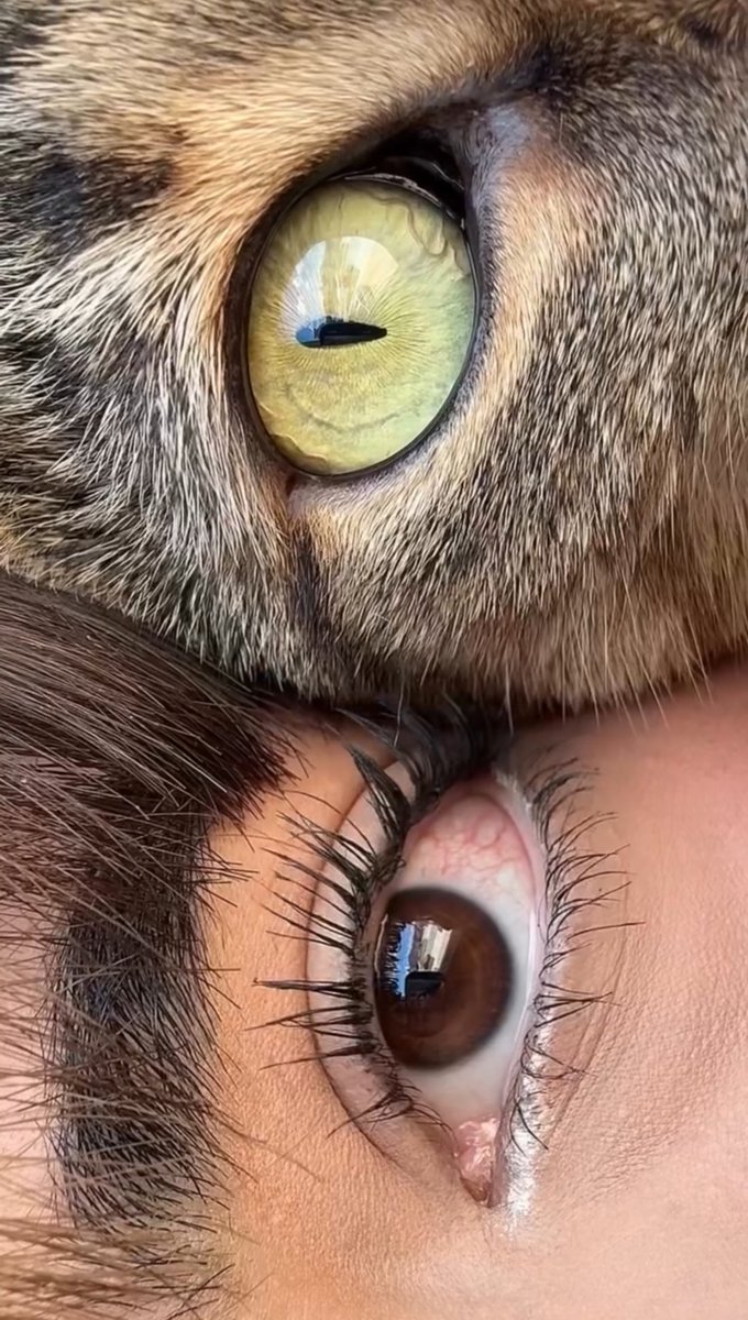 👁️👁️