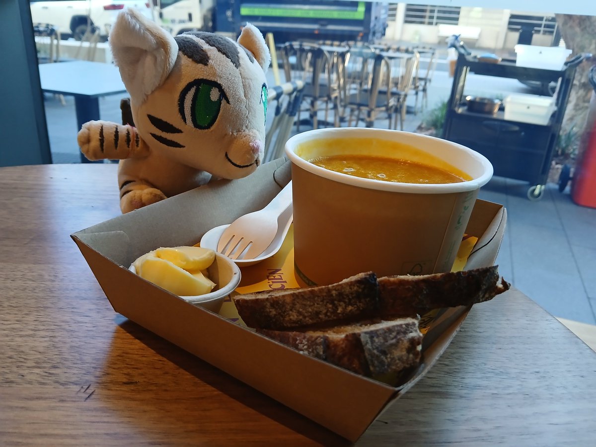 #Aurawra is on meow #Aurawra25