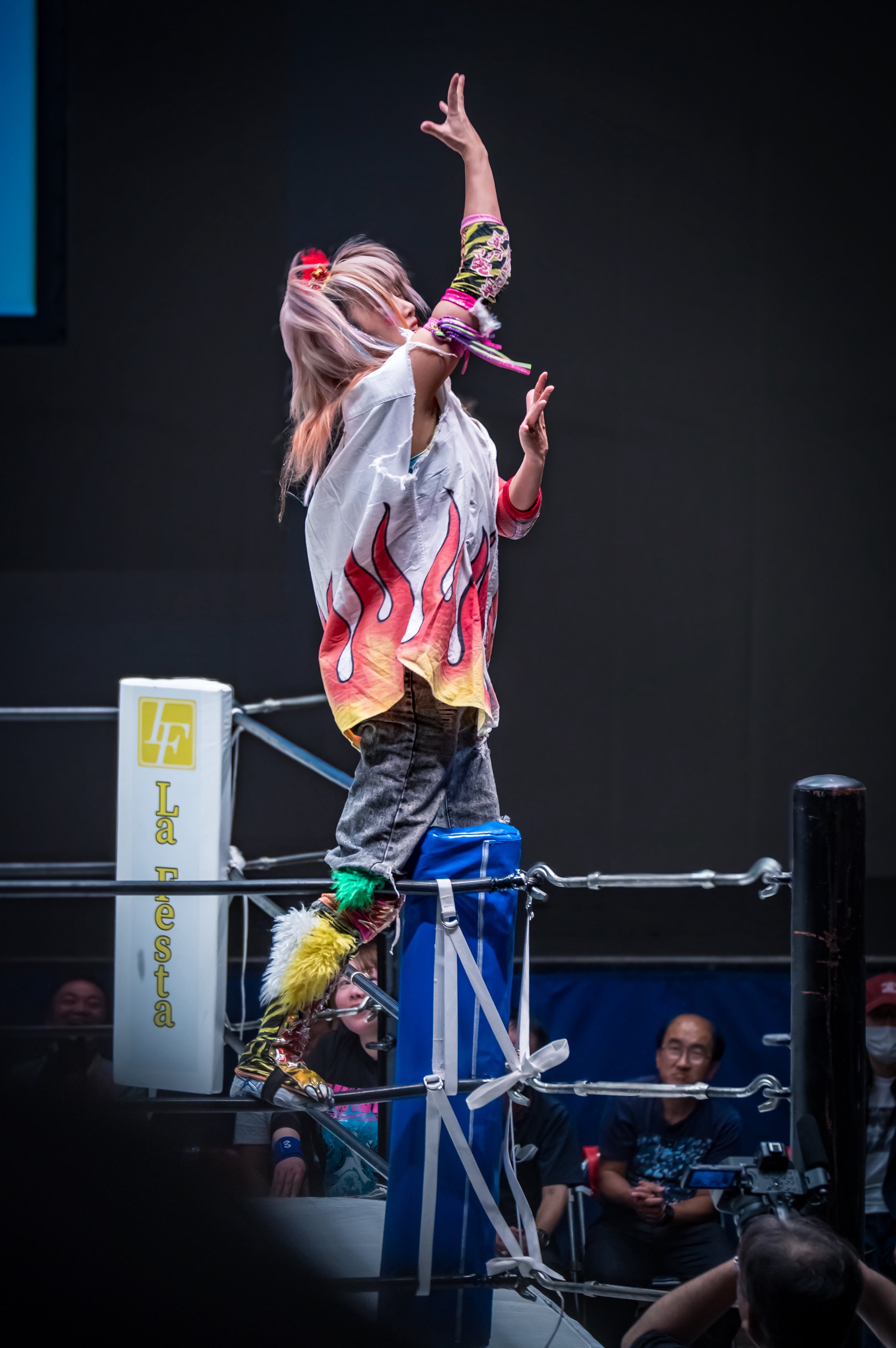 ウナギ・サヤカ - Search / X