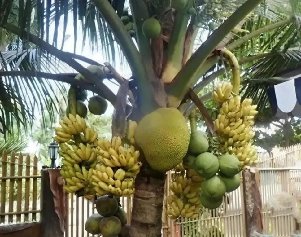 Parent's expectations from their kids.