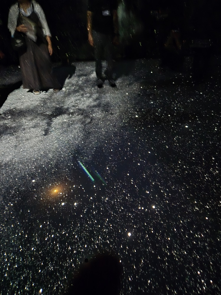 MinatomiraiNow's tweet image. 🌟赤レンガ・アートプラネタリウム®「星とたたずむ」🌟
広い宇宙の他の星から見て、今の地球、私たちはどのように見えるのだろう…そんな事を考えながら、無数の星に包まれてみませんか⭐️
📅7/26(土)~8/24(日)
⭐️#横浜赤レンガ倉庫 1号館
#みなとみらい #横浜
minatomirai21.com/art-culture/12…