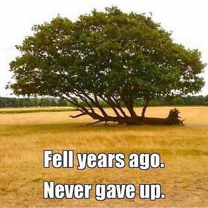 JonesgGreg's tweet image. RISE AND SHINE! Failure is part of growth! Don’t fear failure - it makes you stronger!
#BOOYAH