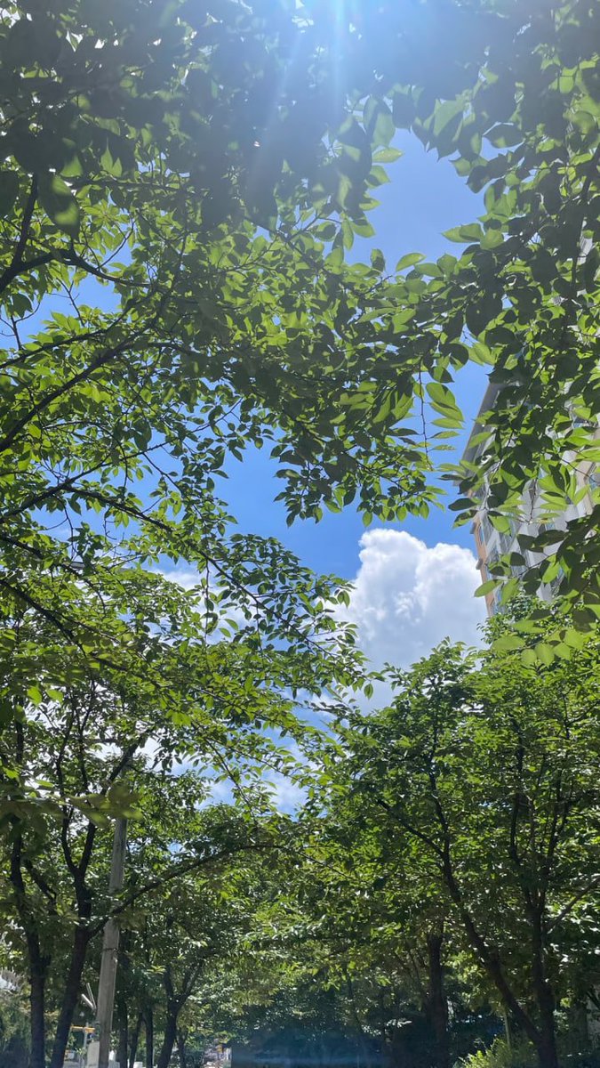 The internet’s future won’t be built by giant companies or data centers.

It’s being built right now by people with <a href="/theblessnetwork/">Bless</a> 

Every device adds to a global network of shared computing power.

We are the infrastructure. We are the future 🌐⚡️
