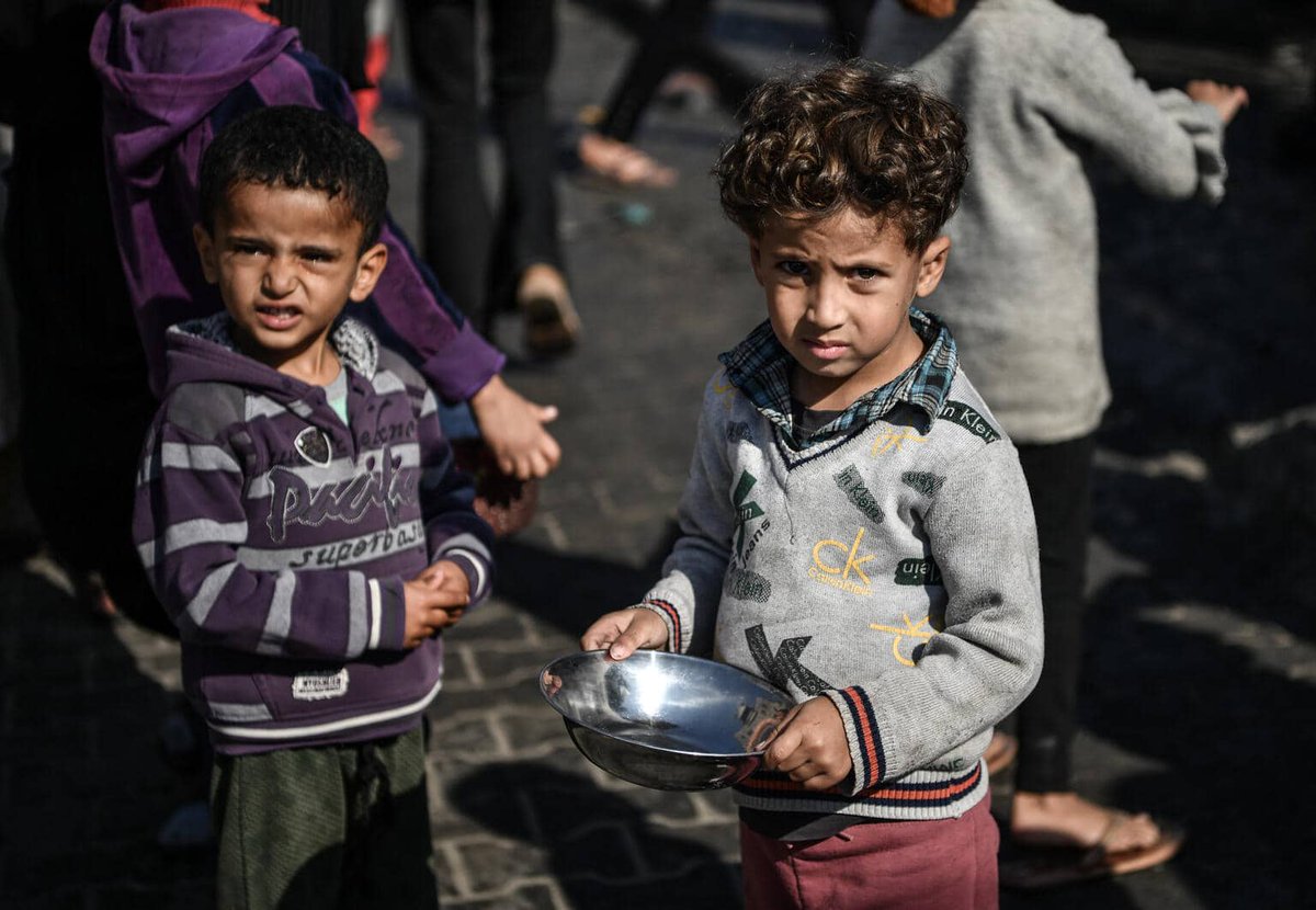 AlertesInfos's tweet image. 🚨🇵🇸🇮🇱 FLASH - Un quart des jeunes enfants examinés la semaine dernière par Médecins Sans Frontières à Gaza est MALNUTRI. (AFP)