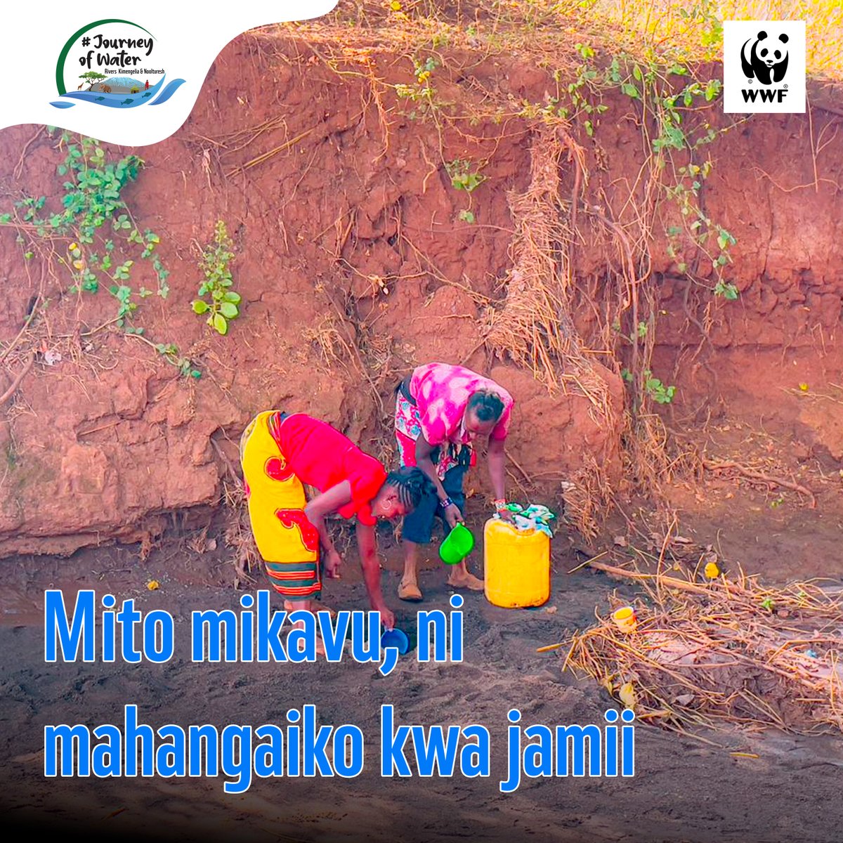 Picture Speak 🗣: The Water Reality in Loitoktok Villages 

✅Diversion of rivers into canals for irrigation 
✅Dry riverbeds
✅Communities, specifically women  scrap drying   riverbeds for water