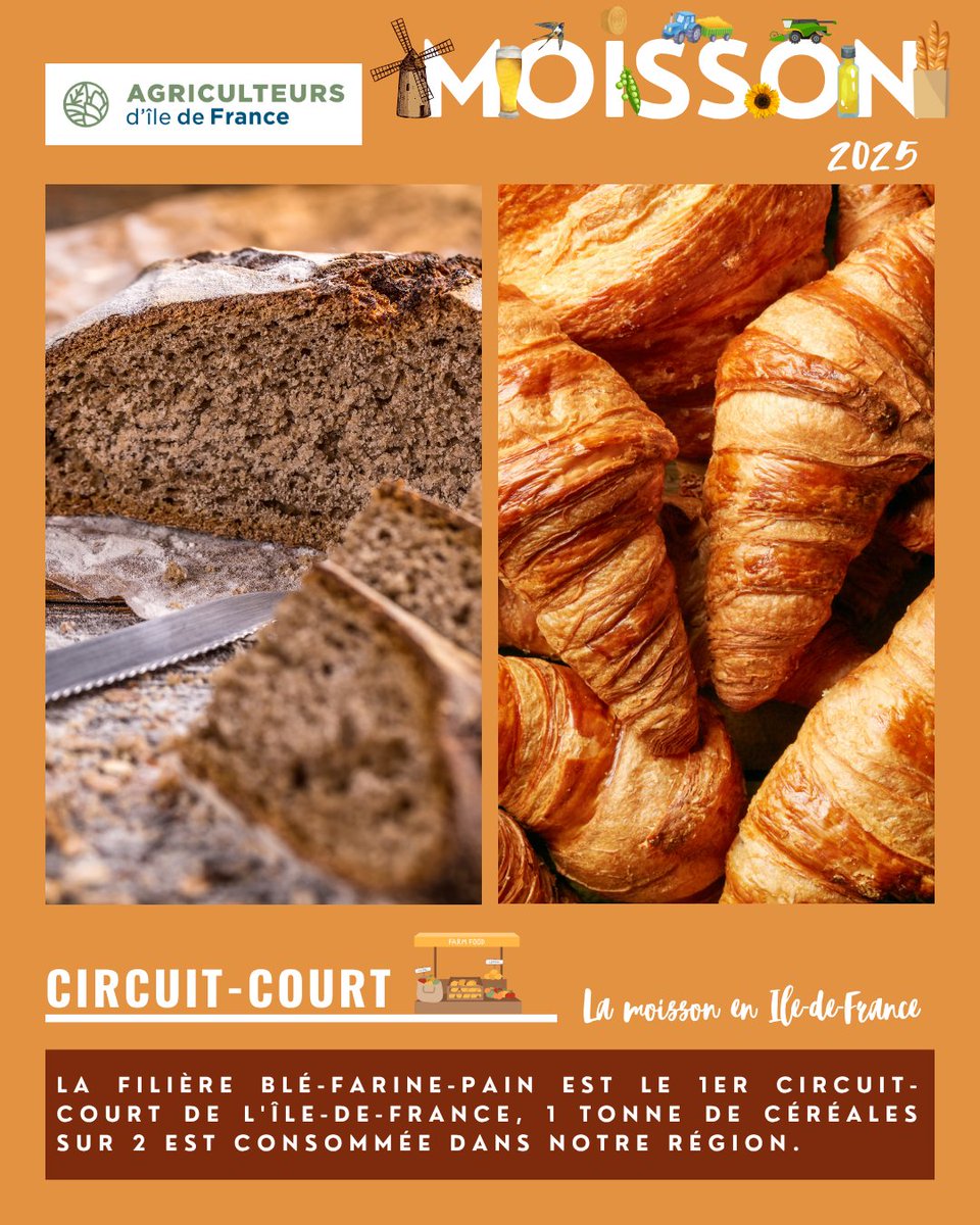 🚜MOISSON 2025🌾
1️⃣/2️⃣, une tonne sur deux de céréales produites en Ile-de-France est consommé par les franciliens 🥖🌾 La filière Blé, farine et pain est le 1er circuit-court de la région francilienne 🥇 Ce sont plus de  4 400 agricultrices et agriculteurs👩🏻‍🌾👨🏼‍🌾, 11 meunières et