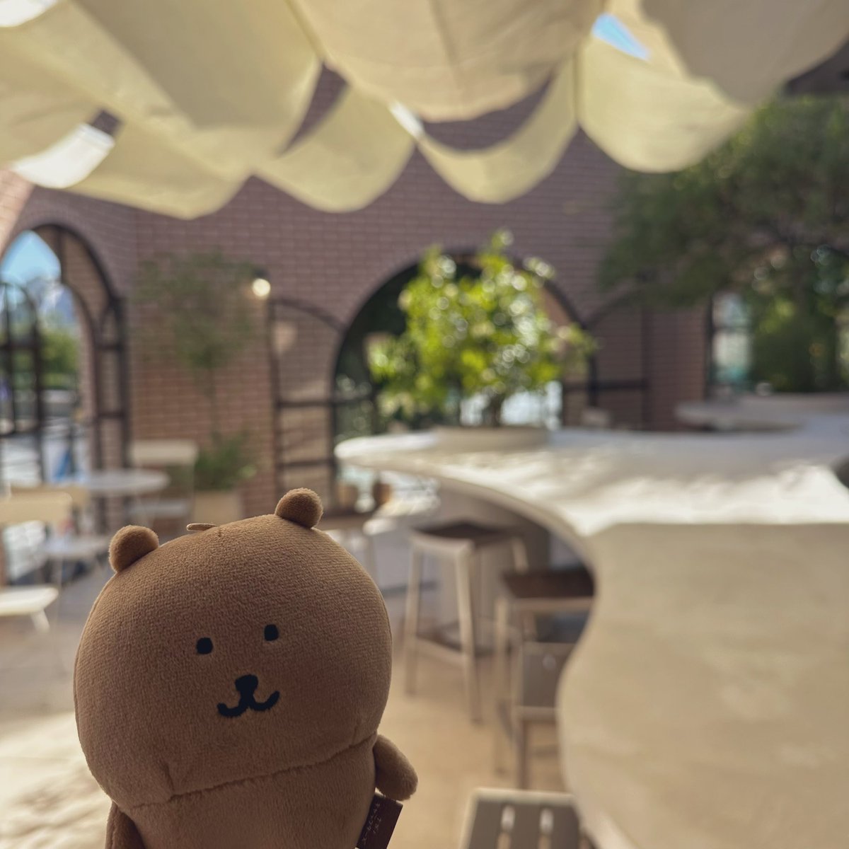 tsukkomi_bear's tweet image. 너무 뜨거워요 . . .
