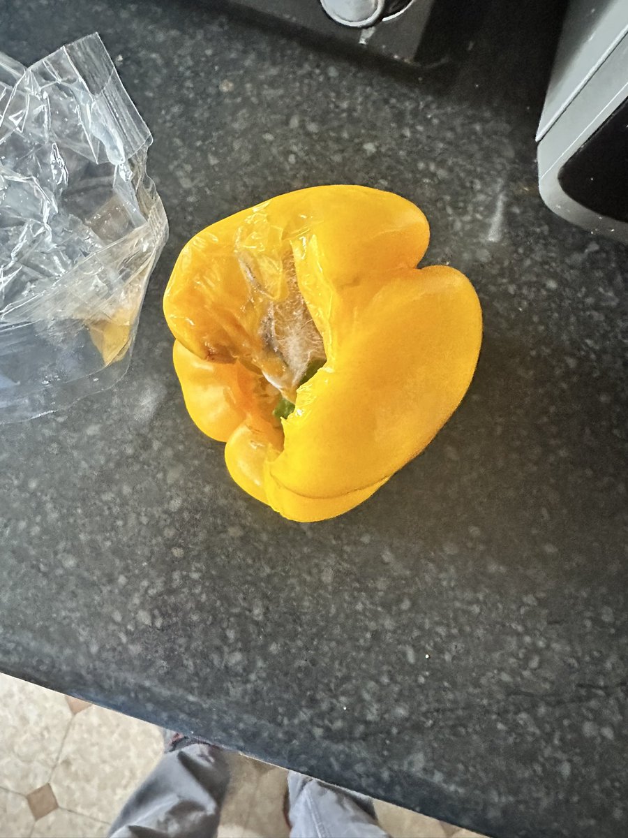 Jonathan tweet media