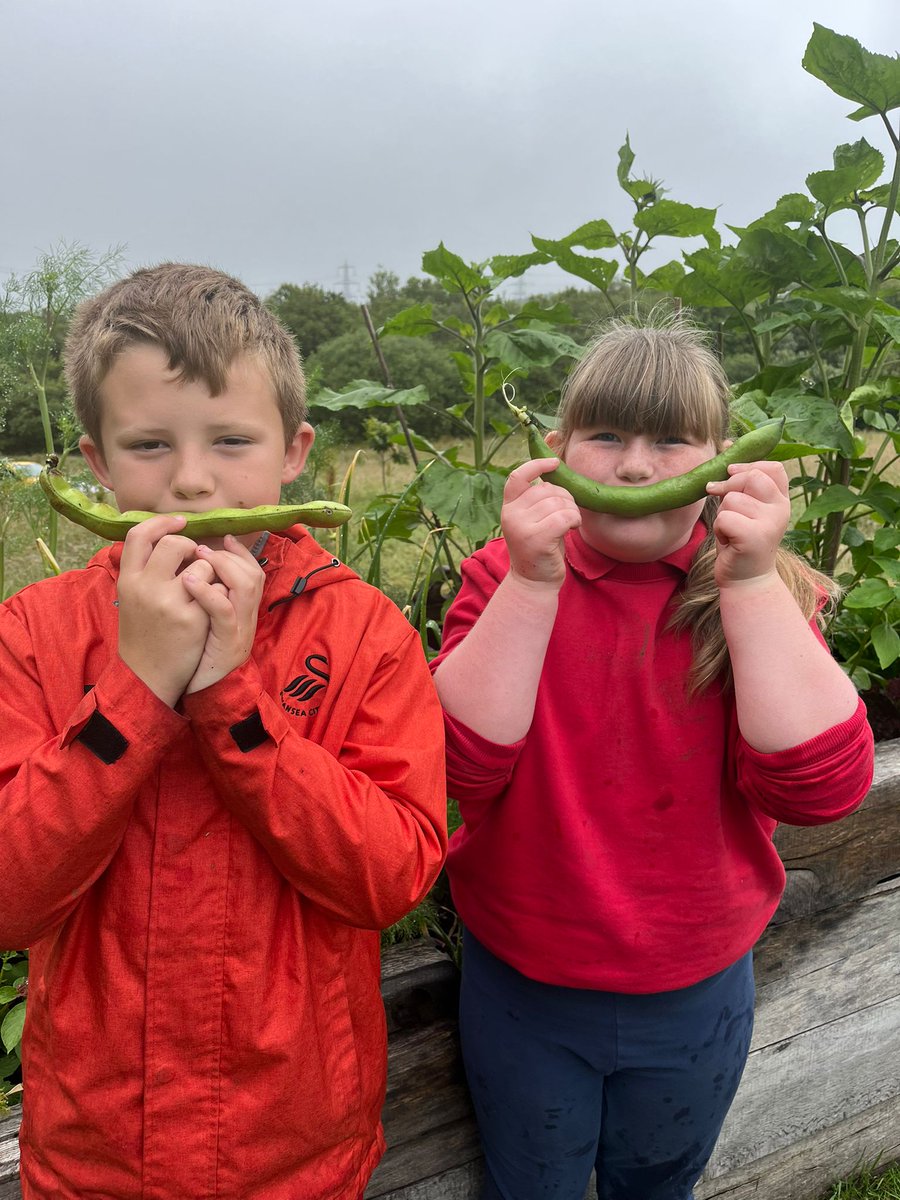 SwanseabayNHS's tweet image. 🥬 An award-winning Swansea Bay project has proved it’s a class act by giving schoolchildren a chance to chip in and learn about how to grow food. 🥔

👉 sbuhb.nhs.wales/news/swansea-b…