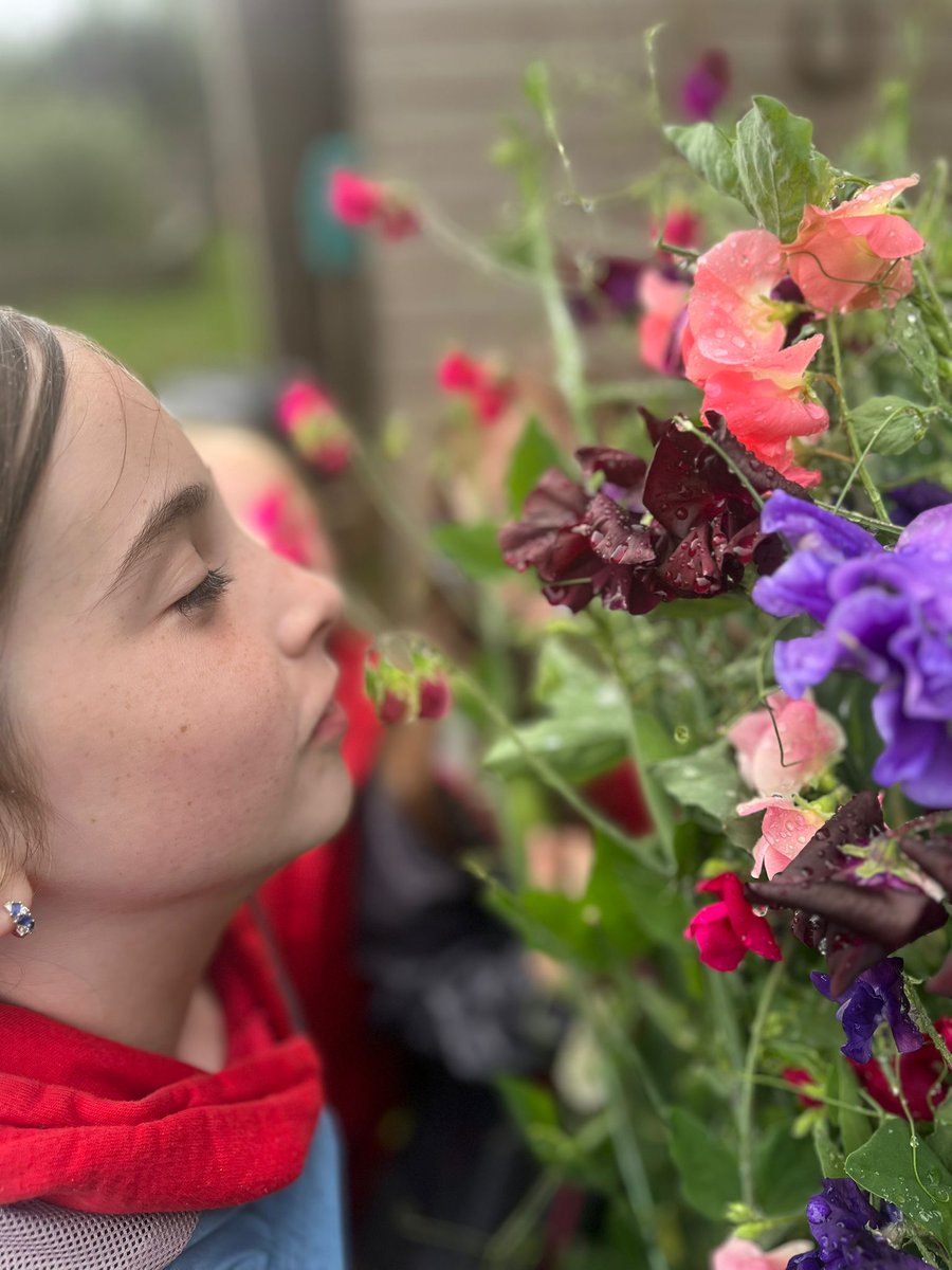 SwanseabayNHS's tweet image. 🥬 An award-winning Swansea Bay project has proved it’s a class act by giving schoolchildren a chance to chip in and learn about how to grow food. 🥔

👉 sbuhb.nhs.wales/news/swansea-b…