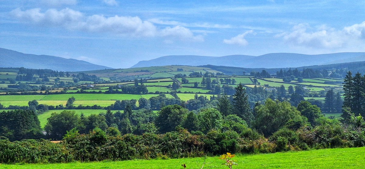 patrickkenealy's tweet image. A beautiful summers day cycling around the Comeragh Mountains, Co Waterford yesterday. @ancienteastIRL @barrabest @deric_tv @DiscoverIreland @discoverirl @Failte_Ireland @welovewaterford @VisitWaterford @WaterfordANDme @WaterfordPocket @WaterfordGrnWay @GoToIreland @DungarvanTIO
