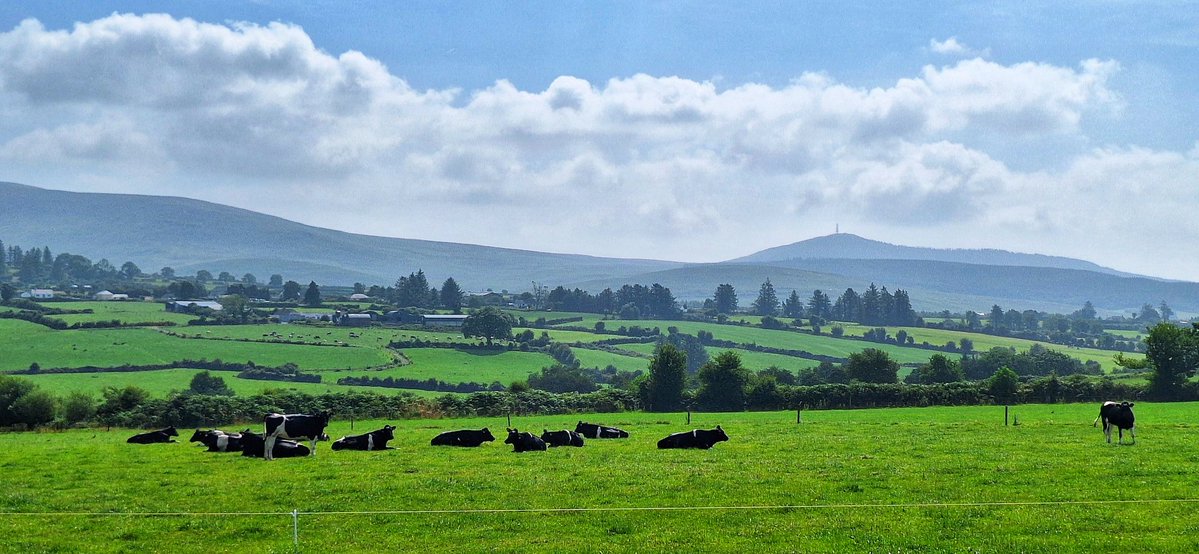 patrickkenealy's tweet image. A beautiful summers day cycling around the Comeragh Mountains, Co Waterford yesterday. @ancienteastIRL @barrabest @deric_tv @DiscoverIreland @discoverirl @Failte_Ireland @welovewaterford @VisitWaterford @WaterfordANDme @WaterfordPocket @WaterfordGrnWay @GoToIreland @DungarvanTIO
