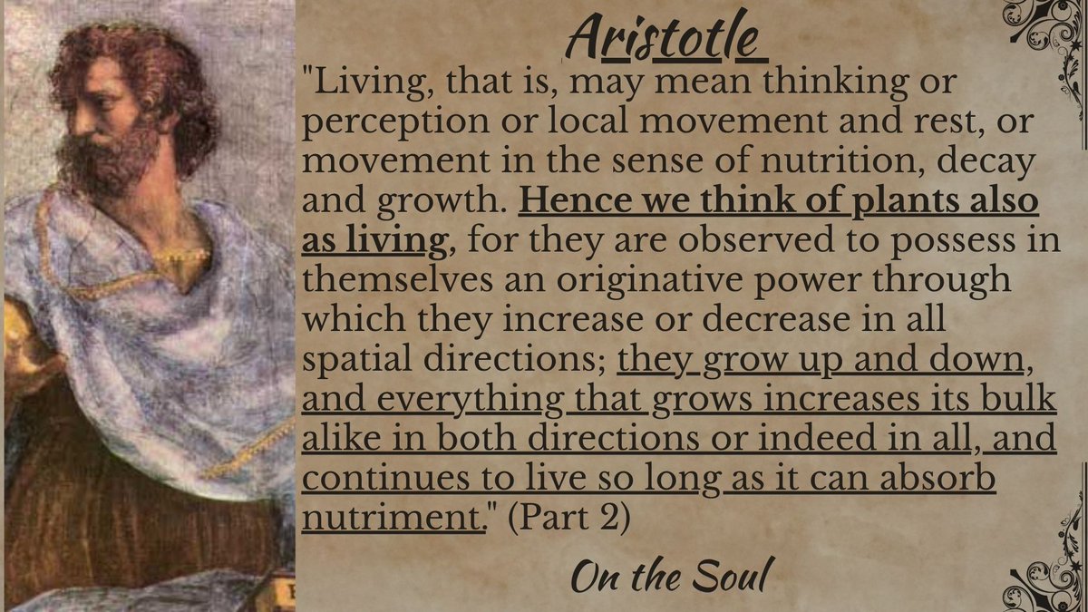 bonesforsales's tweet image. Aristotle on plants having souls: