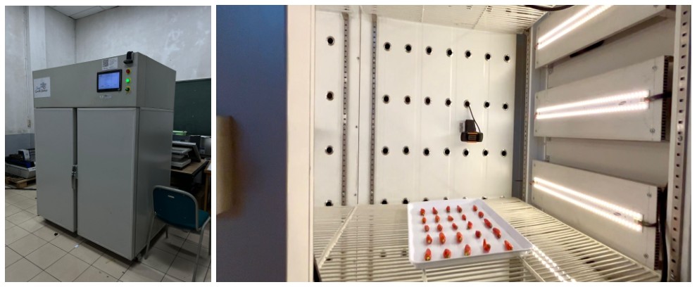 'Monica' Alat Canggih Hasil Pengembangan Mahasiswa ITB, Deteksi Penyakit Cabai Solusi untuk Benih Unggul

itb.ac.id/berita/monica-…