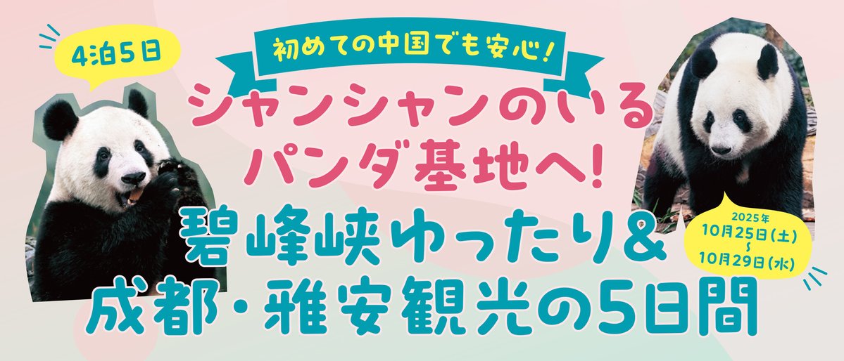 PRTIMES_TRAVEL's tweet image. 【パンダに会いに中国へ行こう!】行知学園が書籍と連動した「中国パンダ旅」を始動! 第一弾はシャンシャン特化... prtimes.jp/main/html/rd/p…