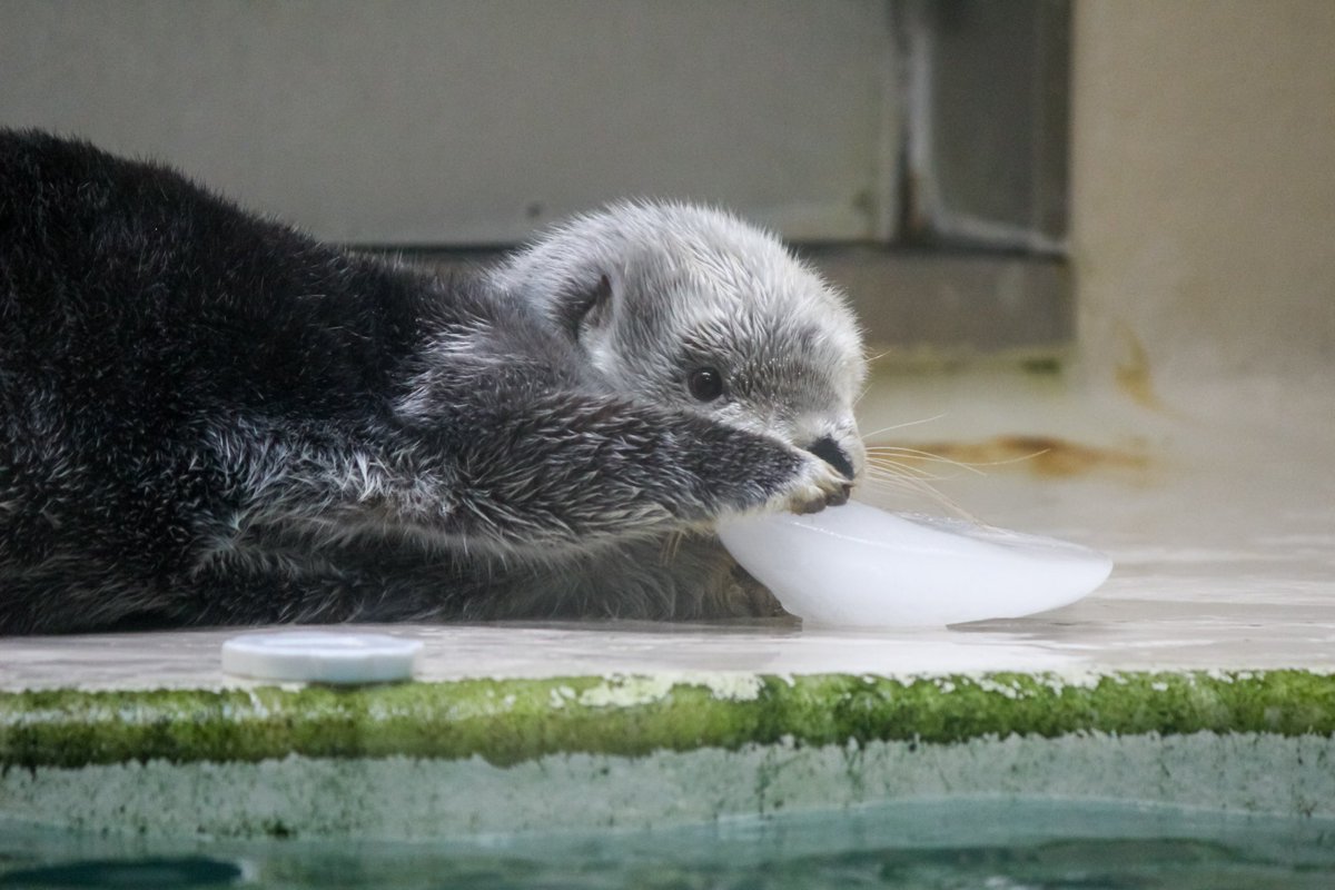 ℳ❀ (@z3_uy) / Posts / X