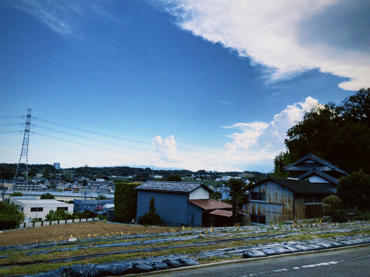 kzwmn02 (@euthanasia_02) on Twitter photo 