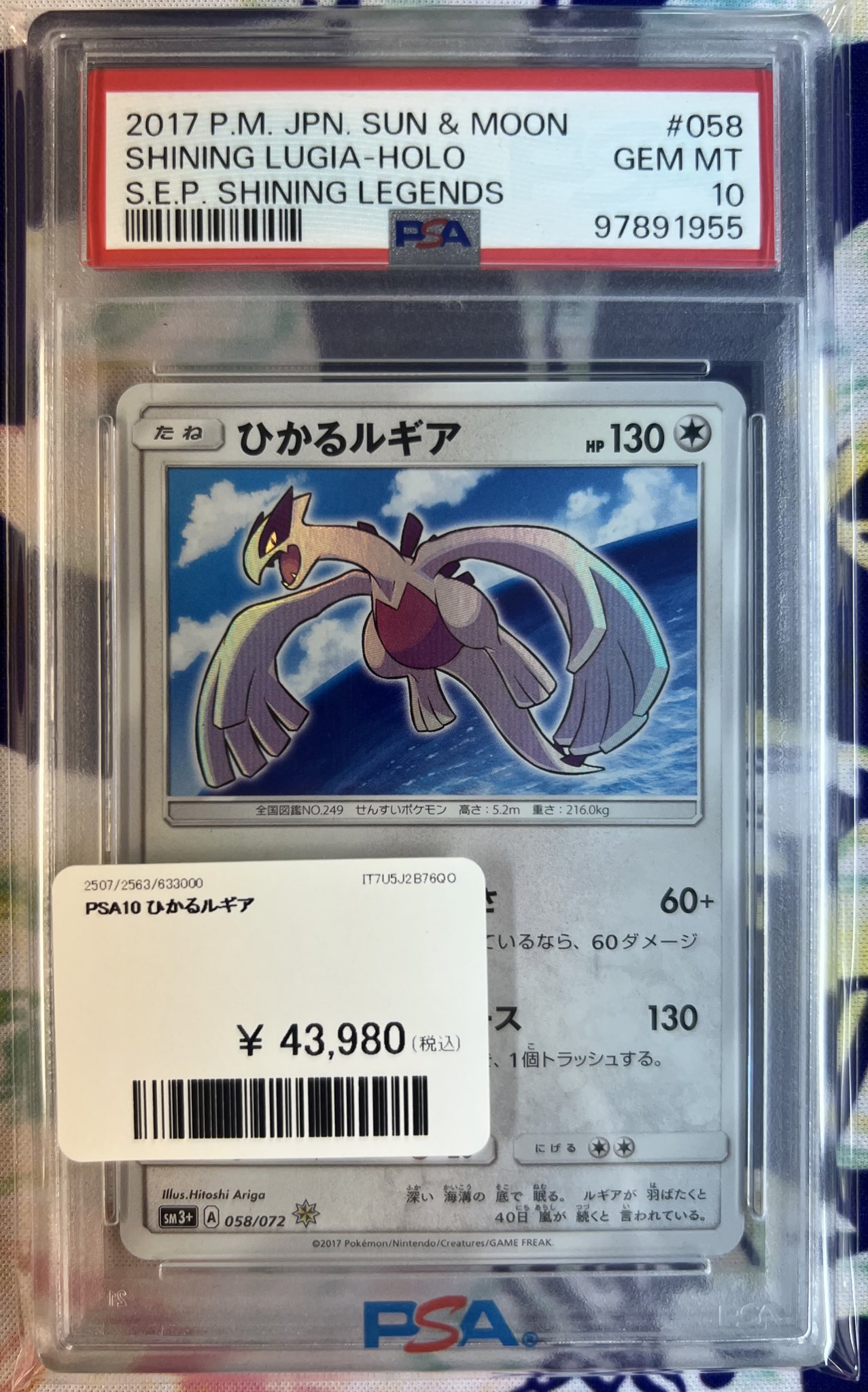 PDG Collector's Shop 秋葉原 on X: 