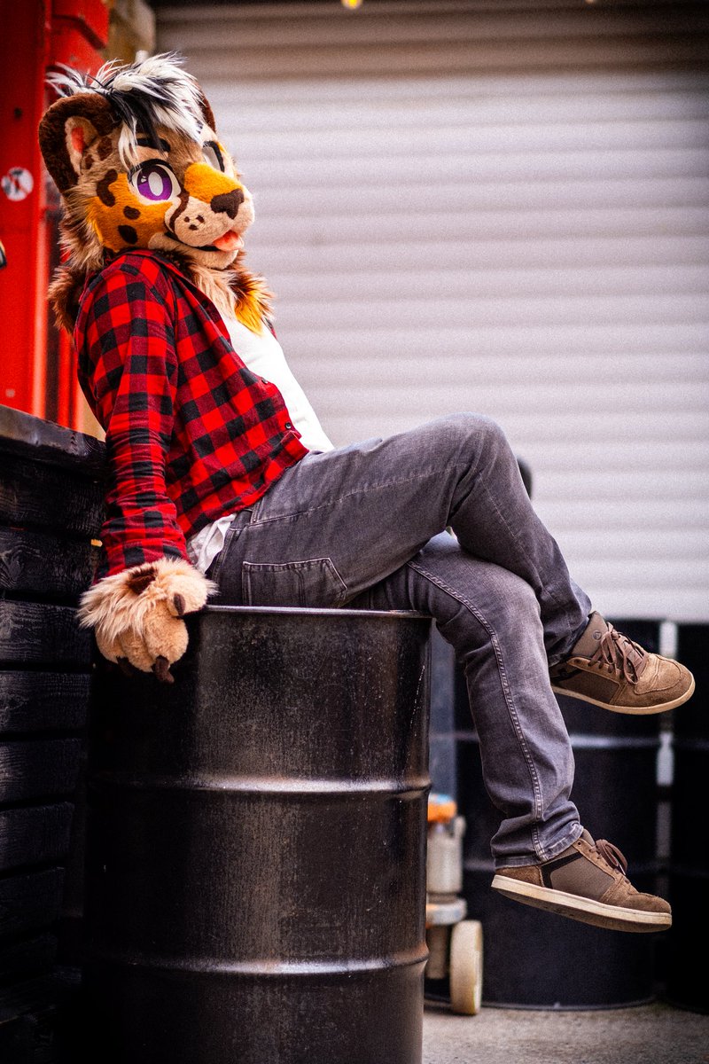 JaxSheppy / Ty 🐱 / Fennel 🐯 (@sheppyjax) on Twitter photo Oh hi! Didn't see you there ^^
Happy #FursuitFriday 🧡
📸: <a href="/two_old_cat/">dex, the bark mage</a>
👔: <a href="/tomacats_suits/">🍅TOMACATS 🐱</a> Oh hi! Didn't see you there ^^
Happy #FursuitFriday 🧡
📸: <a href="/two_old_cat/">dex, the bark mage</a>
👔: <a href="/tomacats_suits/">🍅TOMACATS 🐱</a>