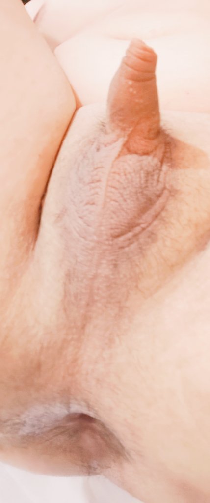 浩浩浩 tweet media