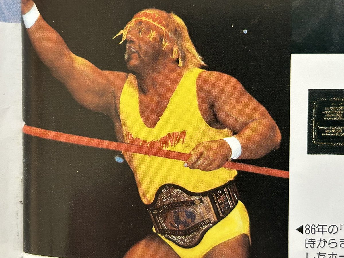 1984年チョロレスラープロレスpwfゴールドメダルベルトハルクホーガン タカラ 1984年チョロレスラープロレスpwfゴールドメダルベルトハルクホーガン