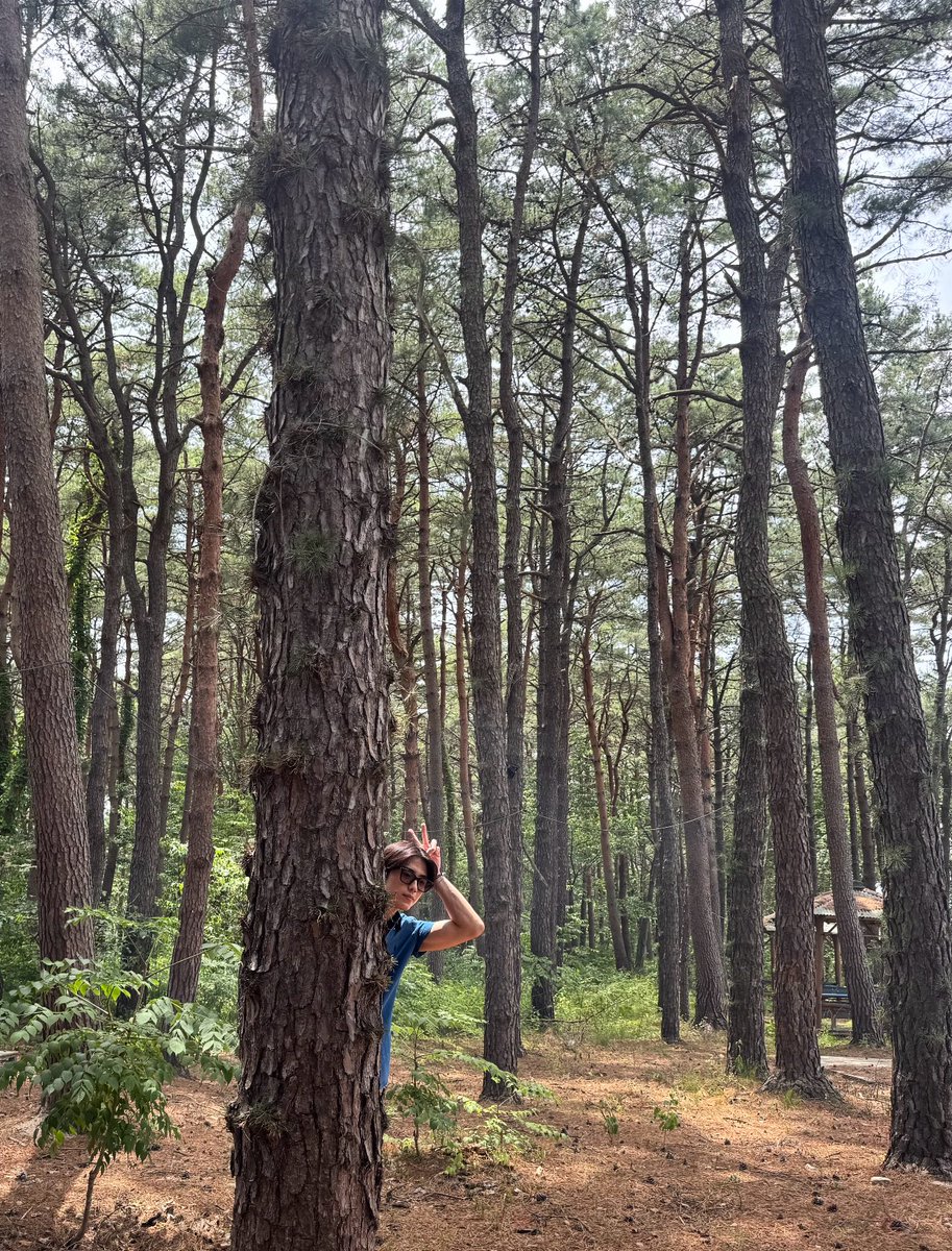 CIX_twt's tweet image. 모두 맛저해용😘

#CIX #FIX #용희 #김용희 #ヨンヒ #yonghee #여름여행 #강릉추천합니다