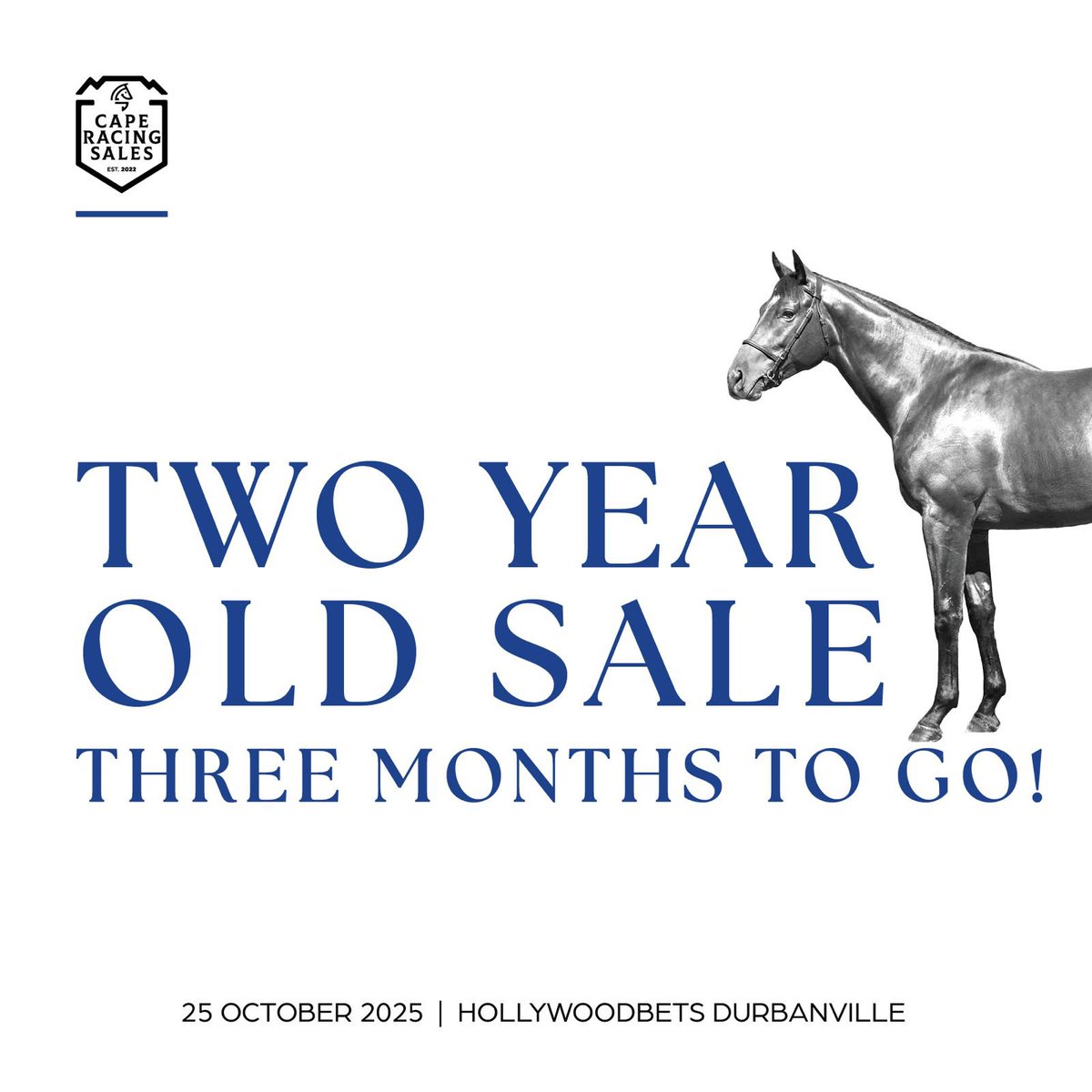 Three months to go until the 2025 Two Year Old Sale. 

It promises to showcase top-quality youngsters from our breeders.

Mark your calendars for 25 October 2025 at Hollywoodbets Durbanville.

Entries close on Monday, 04 August 2025.

#TYS2025 #caperacingsales