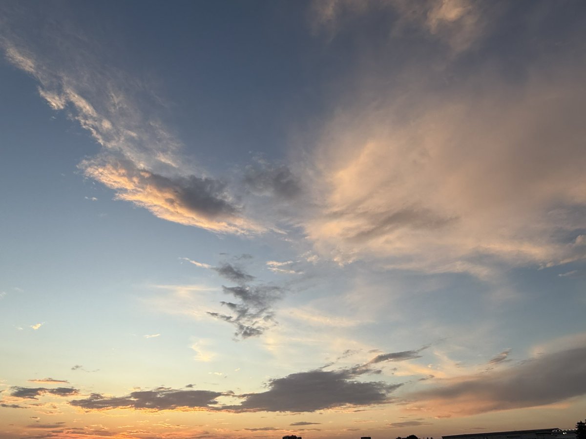 Tama River