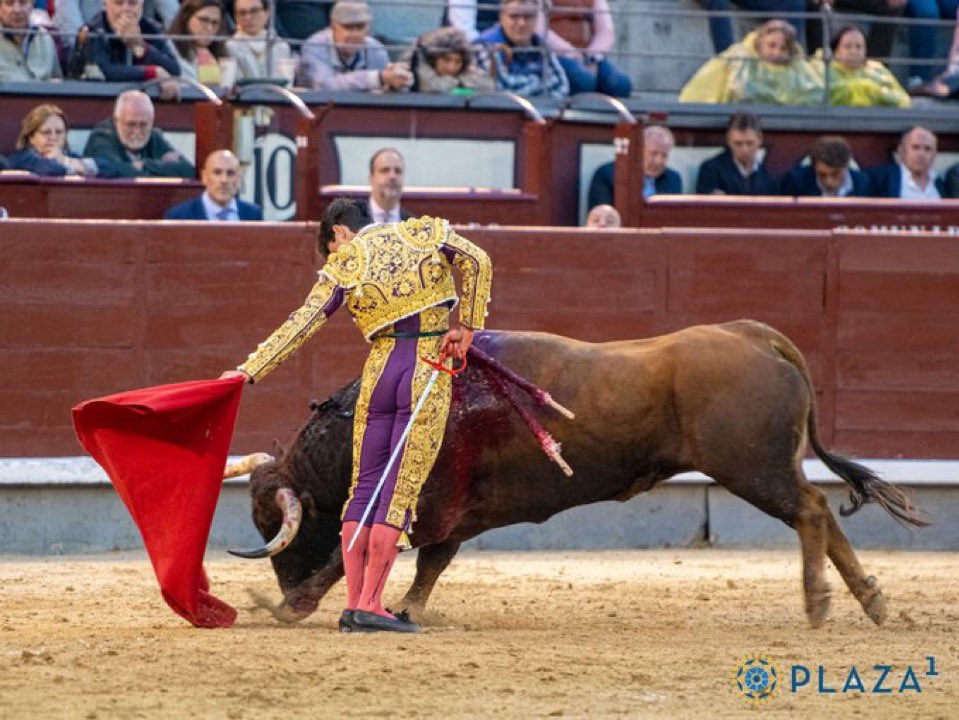 TorileroEl's tweet image. Jarocho confirmará en Madrid en la próxima Feria de Otoño, acompañado de Talavante y Pablo Aguado.
Me alegro mucho por Jarocho, pedazo de torero que ya se merecía confirmar en Madrid.
Fuente: @elseptimotoro
