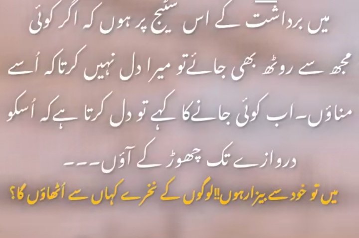 Haider Ali (@haidera52078958) on Twitter photo 