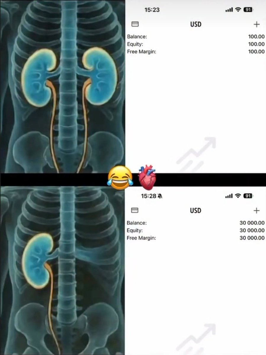 Trader Theory (@trader_theory) on Twitter photo 