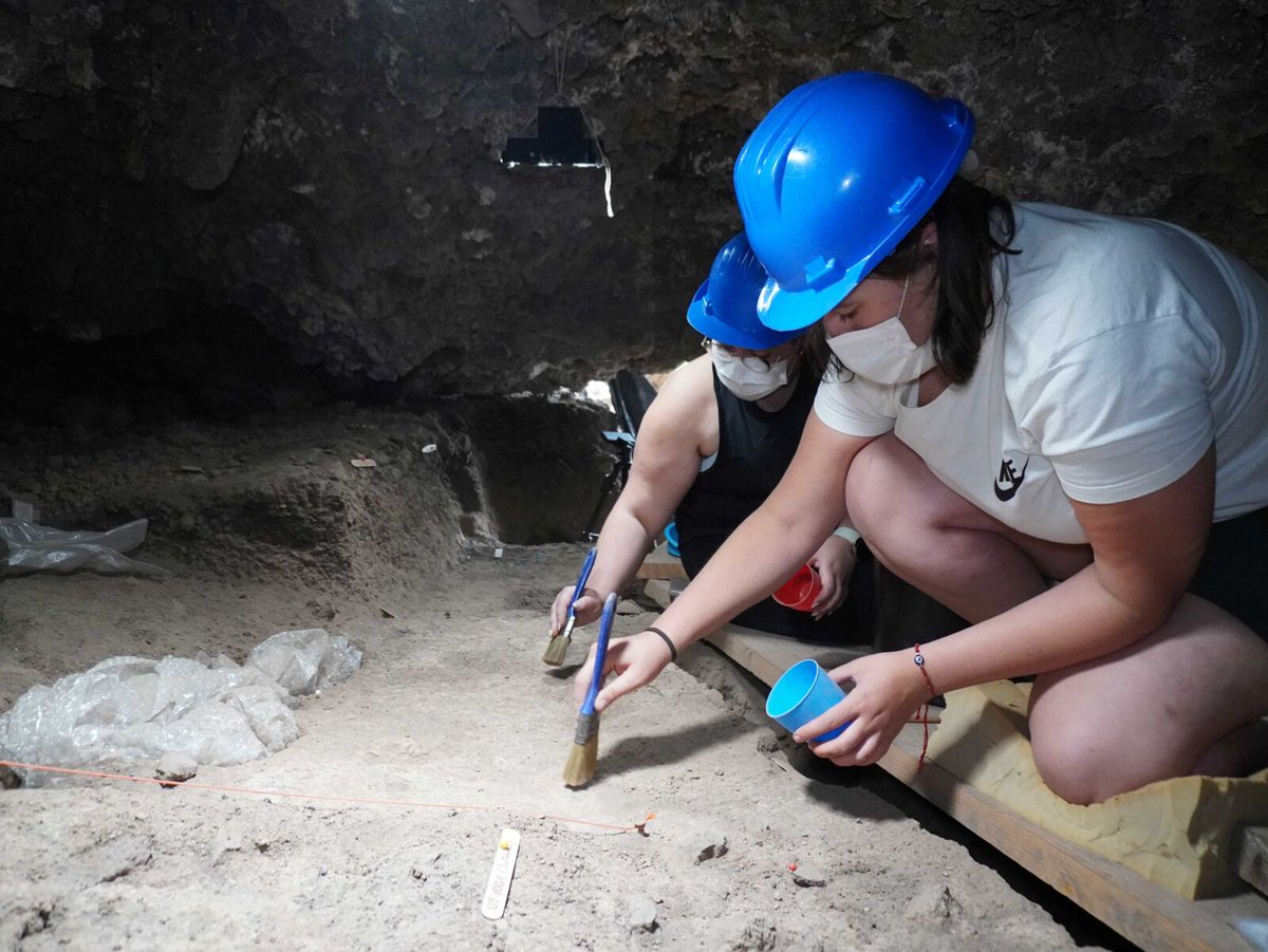 ULL's tweet image. ⛏️ La excavación de la Cueva de los Cabezazos liderada por la #ULL revela que fue usada por los guanches como habitación y corral
👉 t.ull.es/24ks
