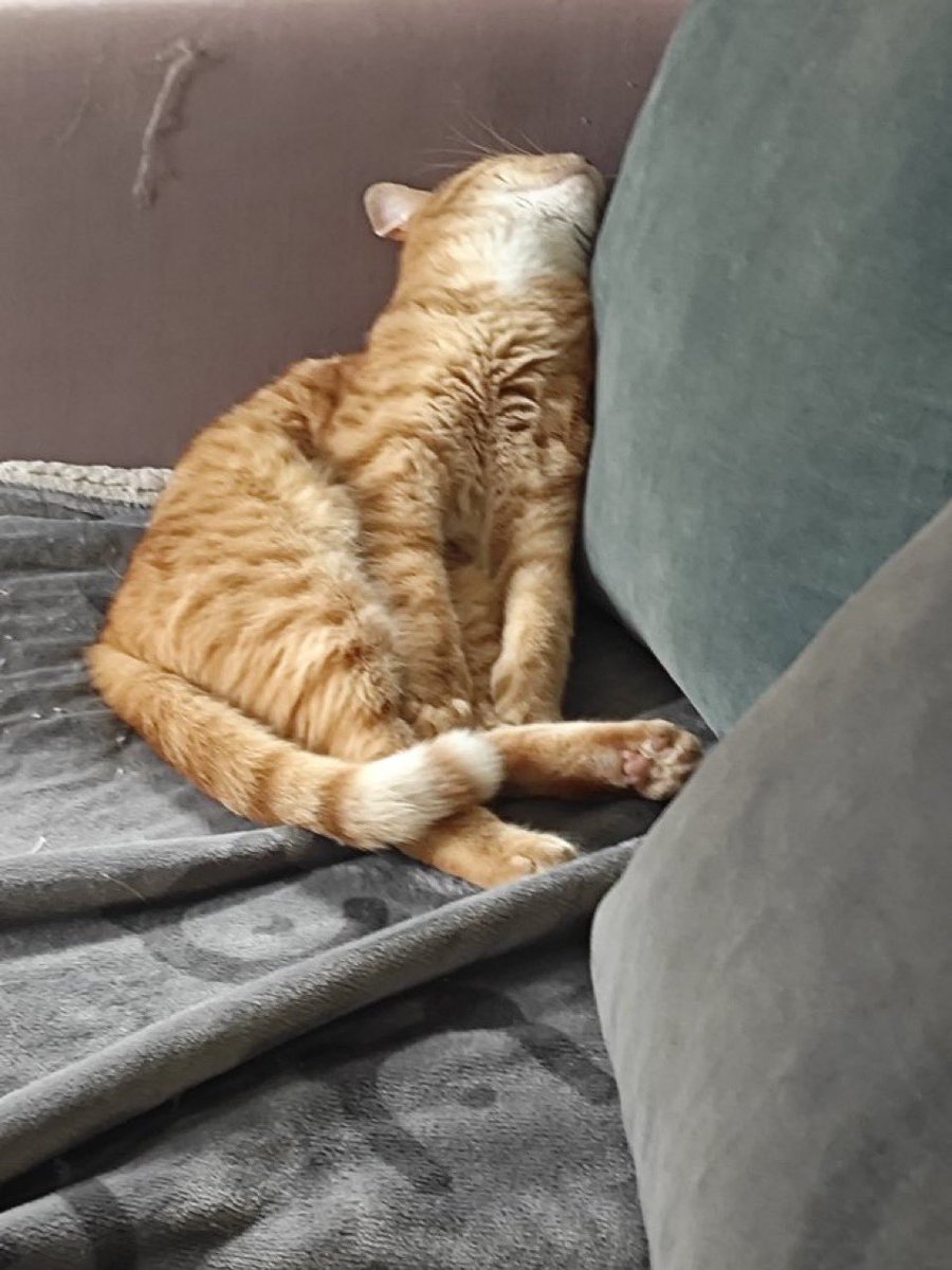 marilarugyste's tweet image. Je suis dans la chambre d’ami d’un pote et genre entre sa chambre faut descendre de la mezzanine pour passer par le salon et y’a sa mère au téléphone et je suis gêné