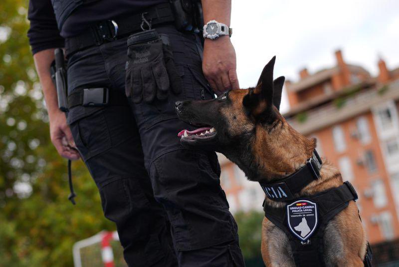 CarlosNovilloPi's tweet image. Más de 4 millones para dotar a nuestras Policías Locales de los mejores medios materiales.
Dentro de la Estrategia de Seguridad Integral autonómica #ESICAM179 apoyamos a los ayuntamientos para la adquisición de vehículos, drones,
dispositivos de detección de drogas, chalecos…