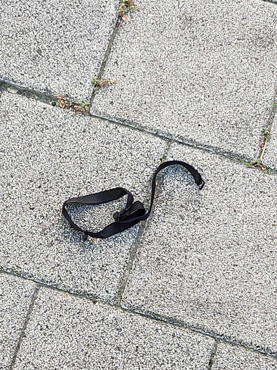 횡단보도 앞에 떨어져 있는 검정 브라끈 한짝. 도대체 어젯밤 무슨 일이 있었던 것일까.