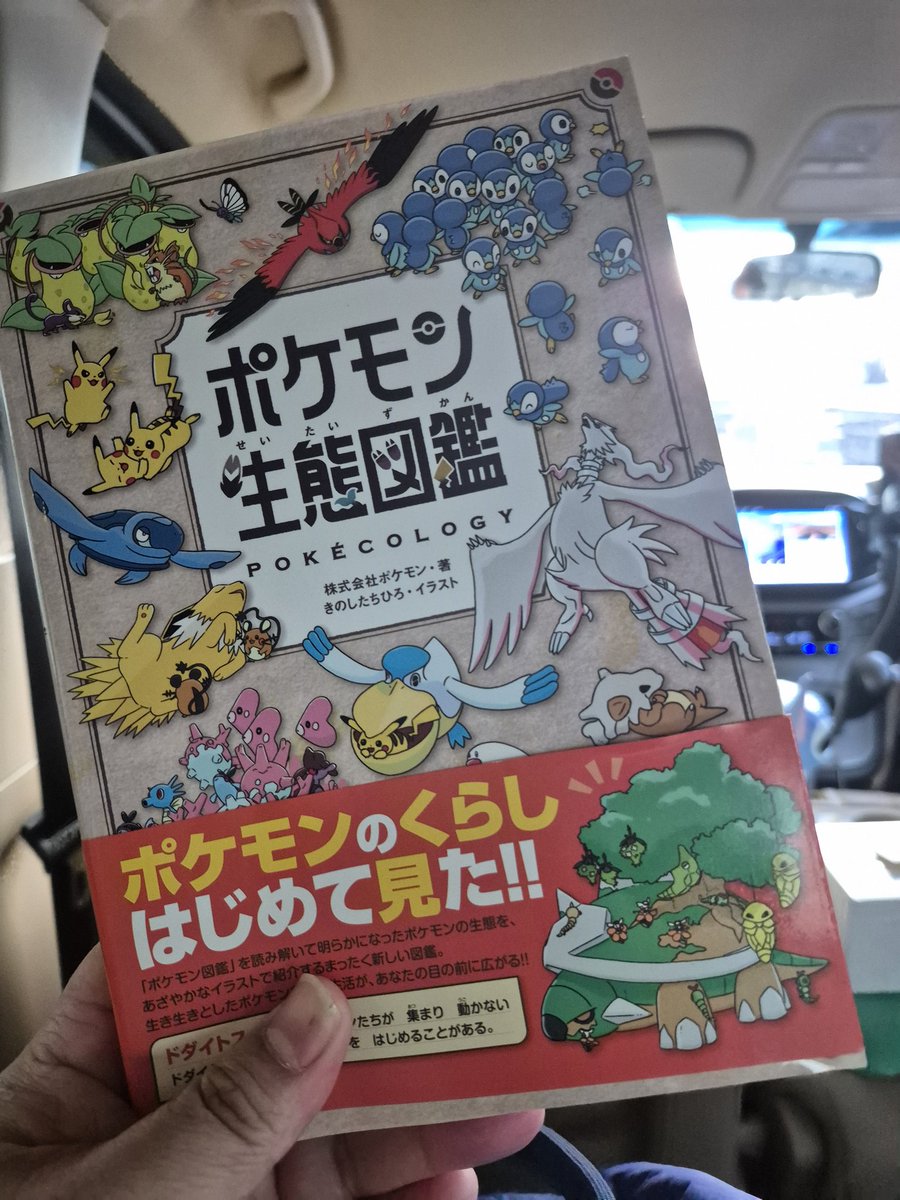 Gotta catch 'em all!

#pokemon