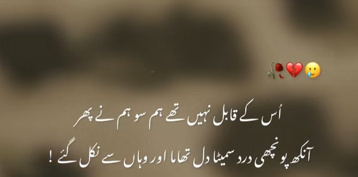 Haider Ali (@haidera52078958) on Twitter photo 